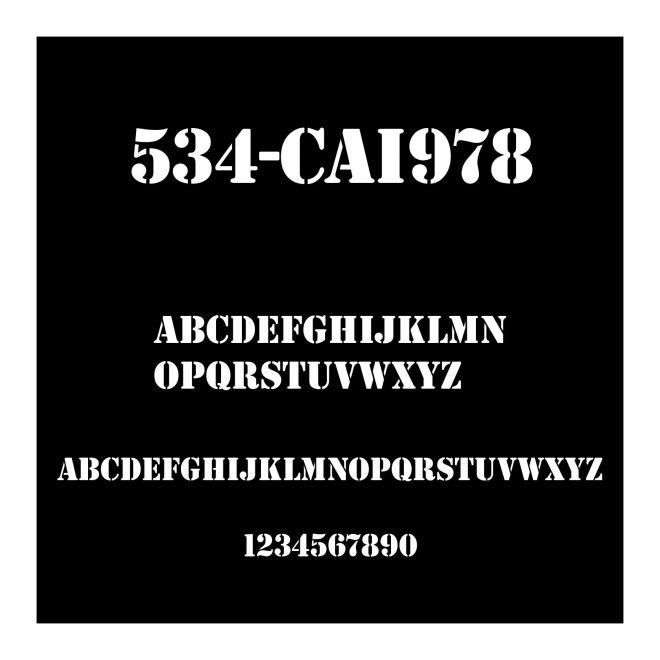 534-CAI978