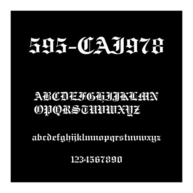 595-CAI978