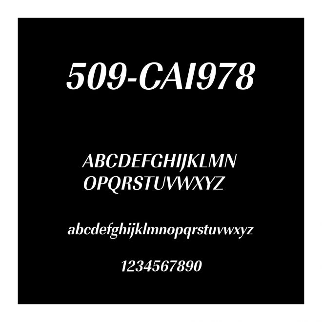509-CAI978