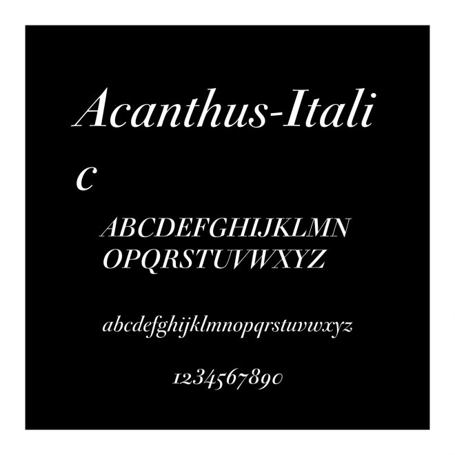 Acanthus-Italic