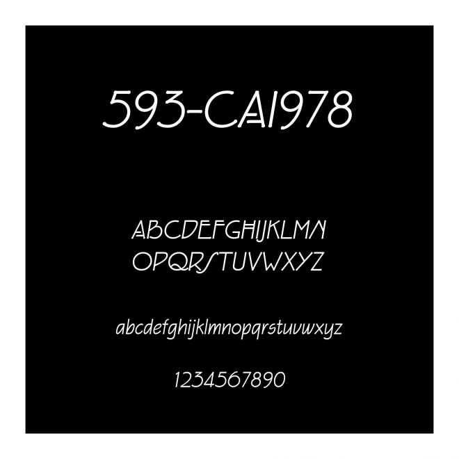 593-CAI978