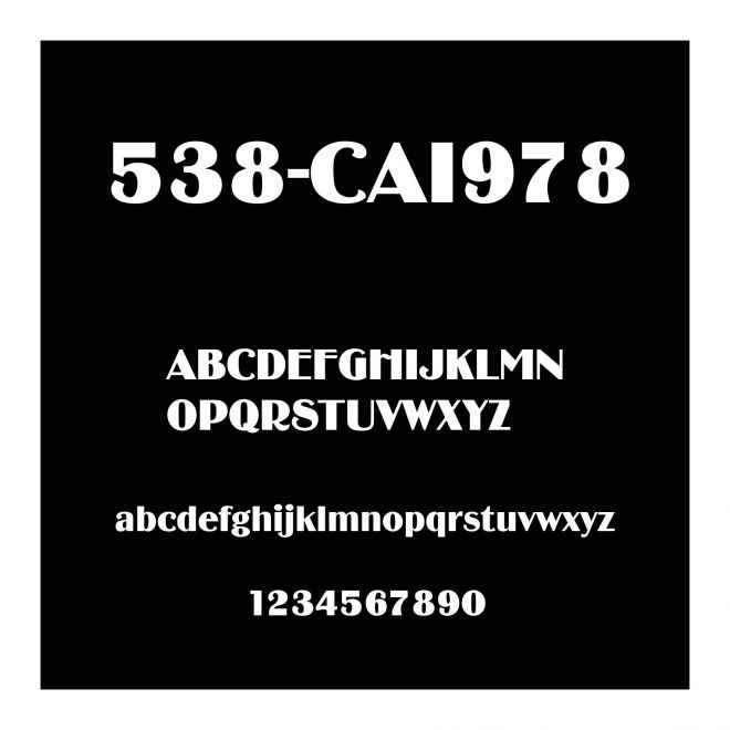 538-CAI978