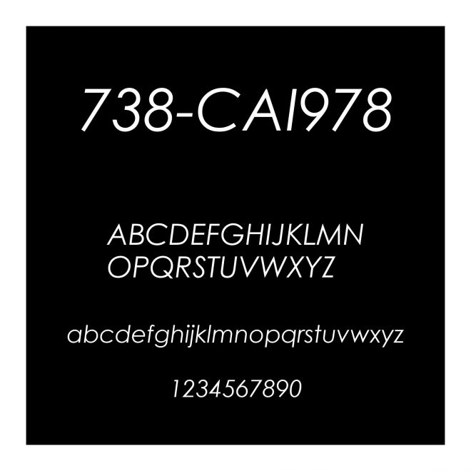 738-CAI978