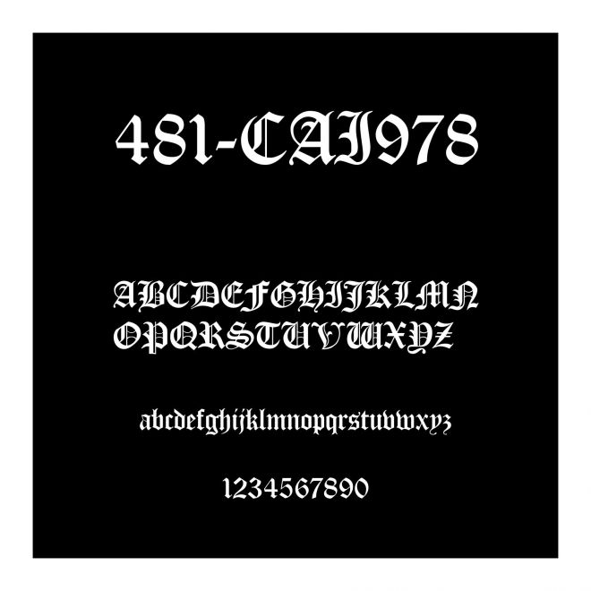 481-CAI978