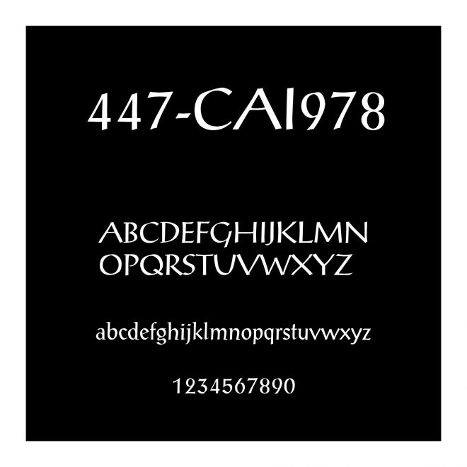 447-CAI978