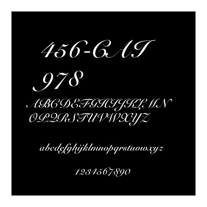 456-CAI978