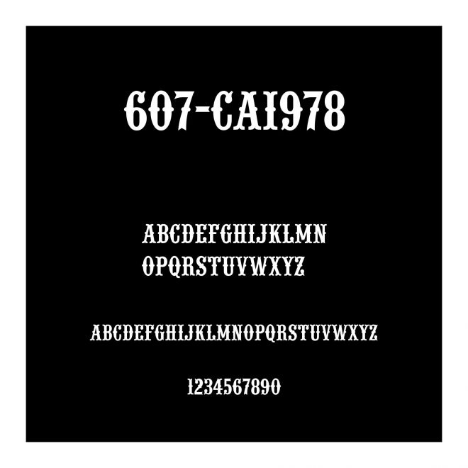 607-CAI978