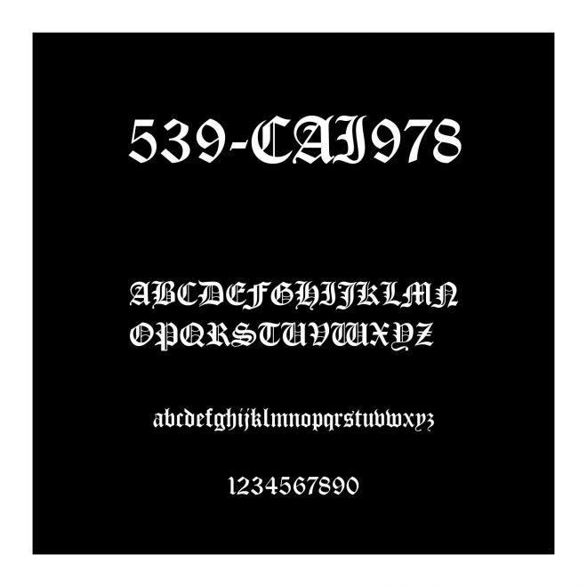 539-CAI978