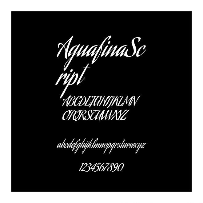 AguafinaScript