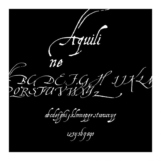 Aquiline