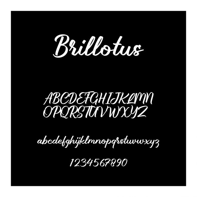 Brillotus