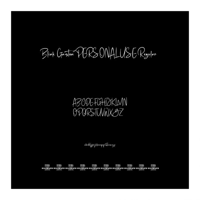 Blink Gaston PERSONAL USE Regular