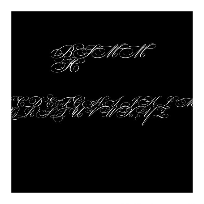 BickhScrMMSwCap_600_wt
