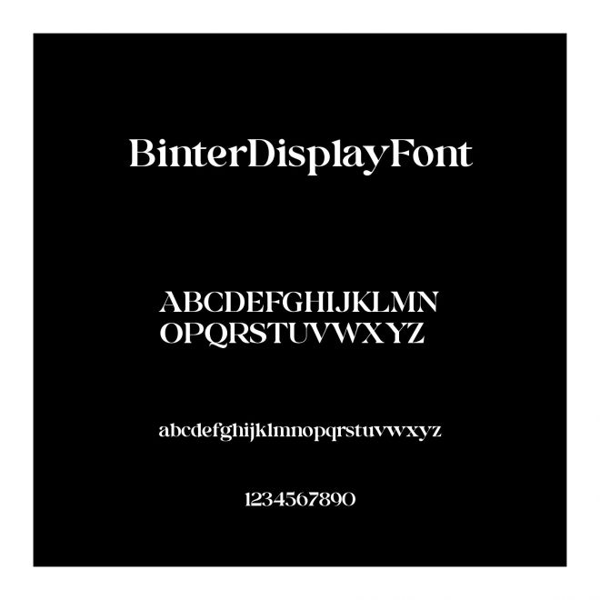 BinterDisplayFont