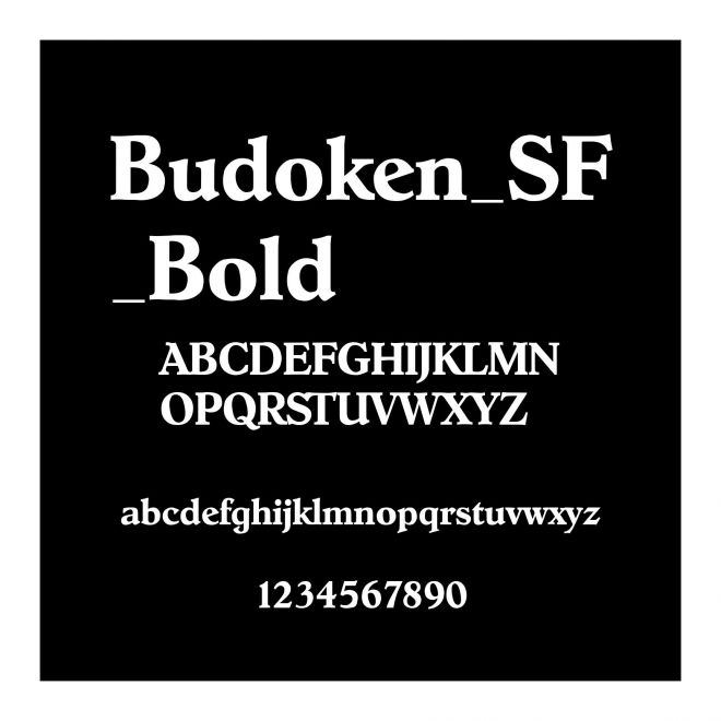 Budoken_SF_Bold