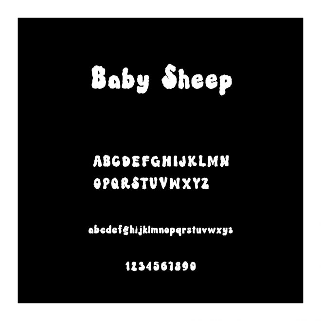 Baby Sheep