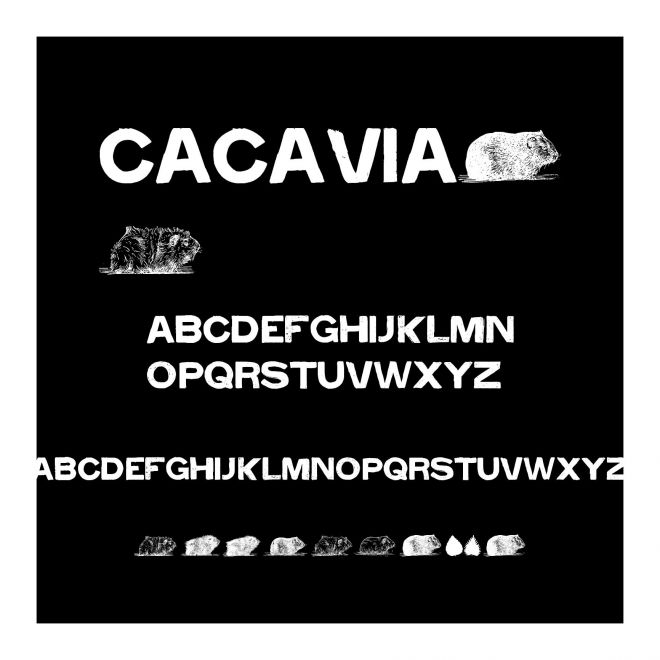 cacavia01