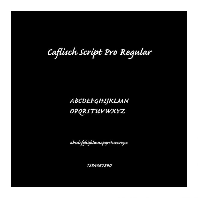 Caflisch Script Pro Regular
