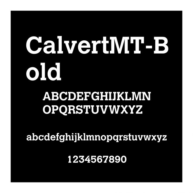 CalvertMT-Bold