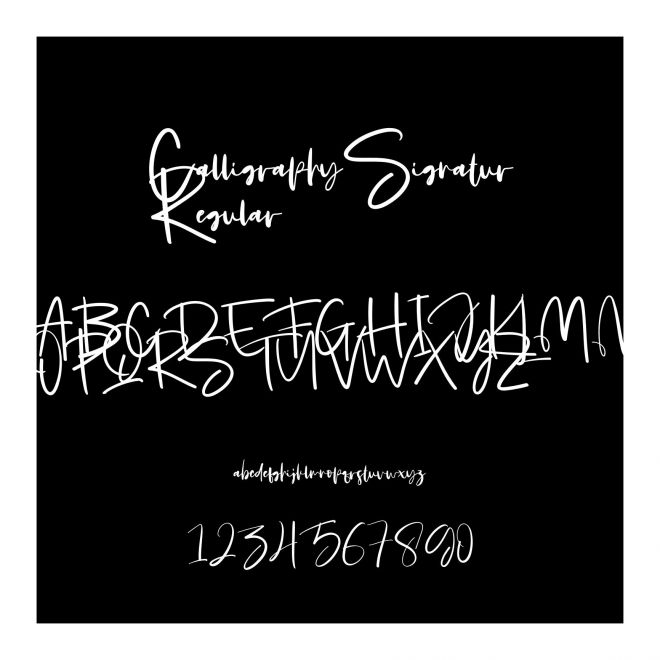 CalligraphySignaturRegular