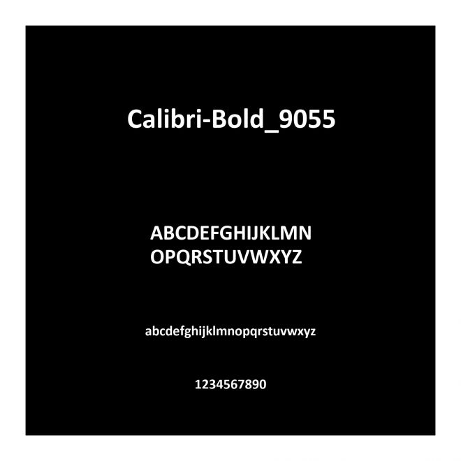 Calibri-Bold_9055