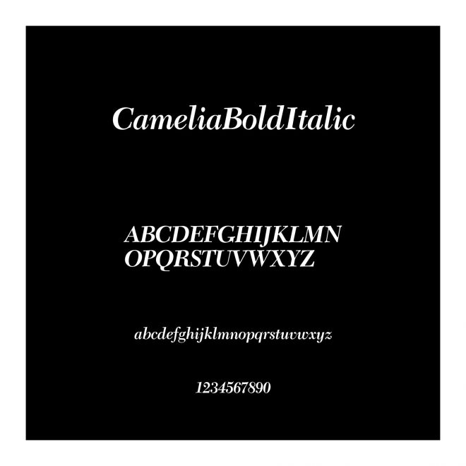 CameliaBoldItalic