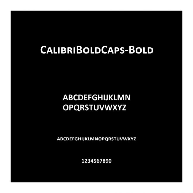 CalibriBoldCaps-Bold