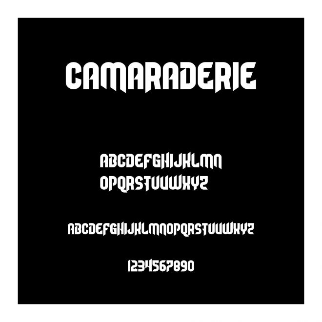 Camaraderie