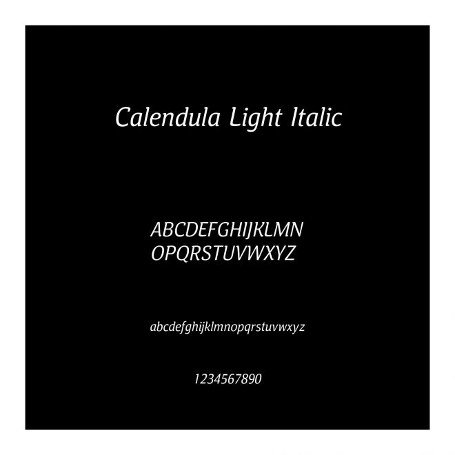 Calendula Light Italic