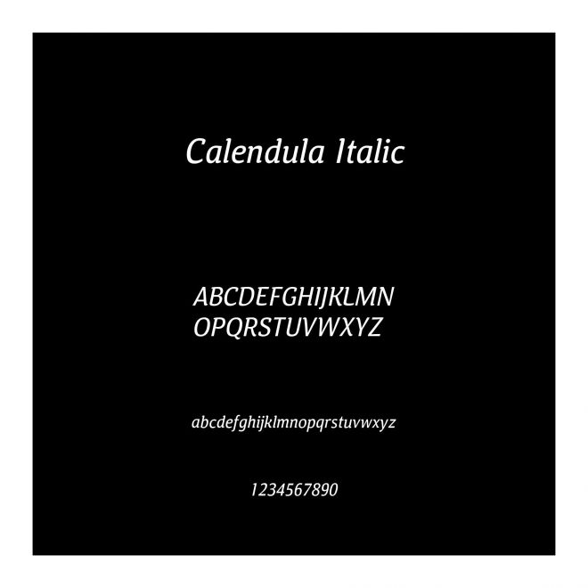 Calendula Italic