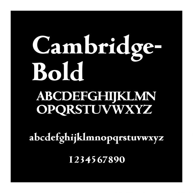 Cambridge-Bold