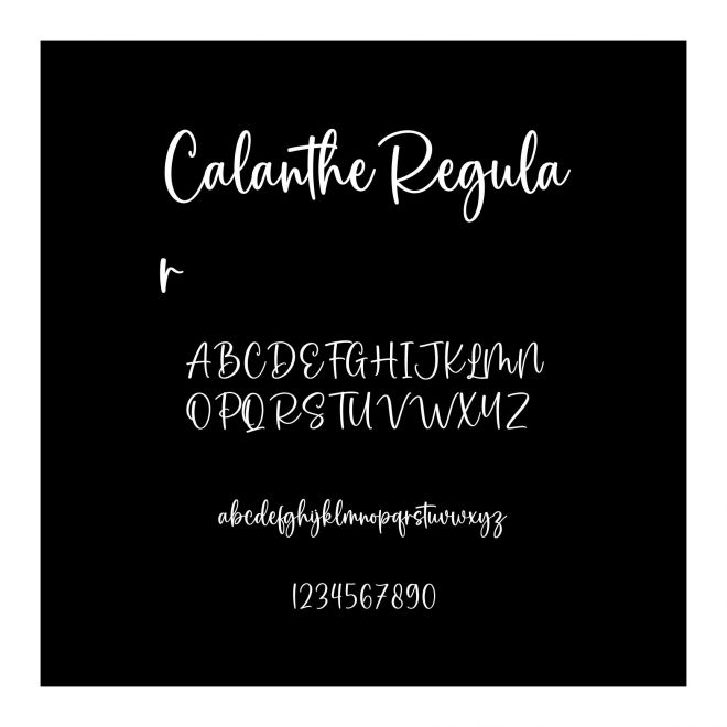 CalantheRegular