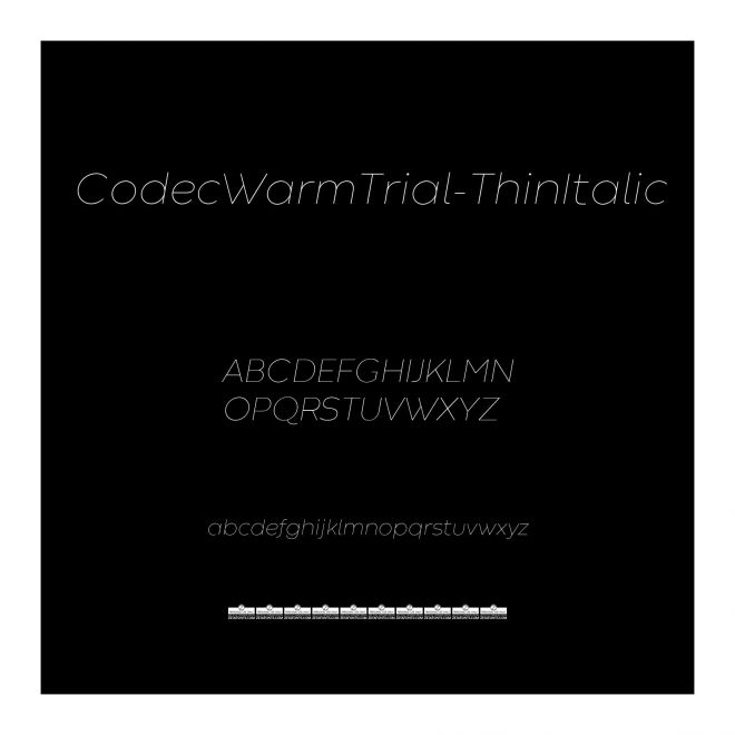 CodecWarmTrial-ThinItalic
