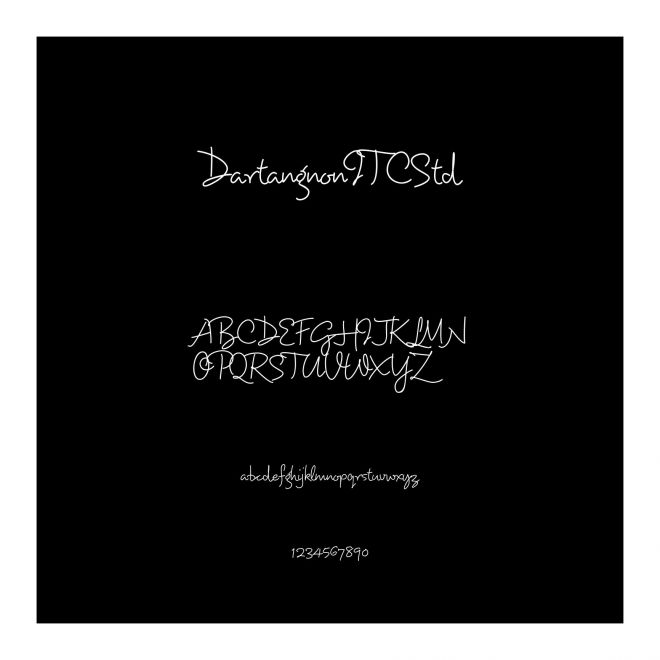 DartangnonITCStd