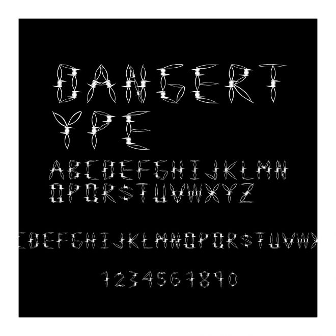 DangerType