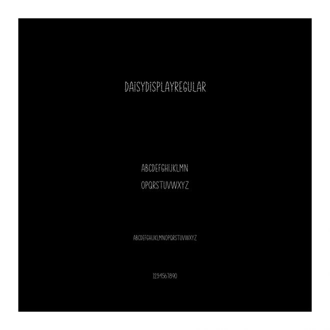 DaisyDisplayRegular