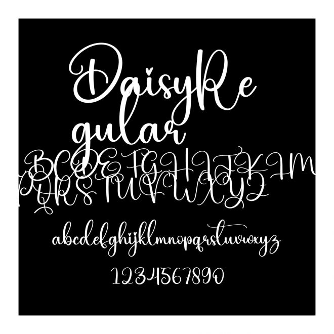 DaisyRegular