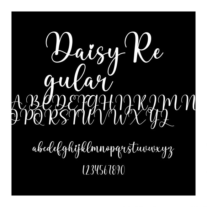 DaisyRegular