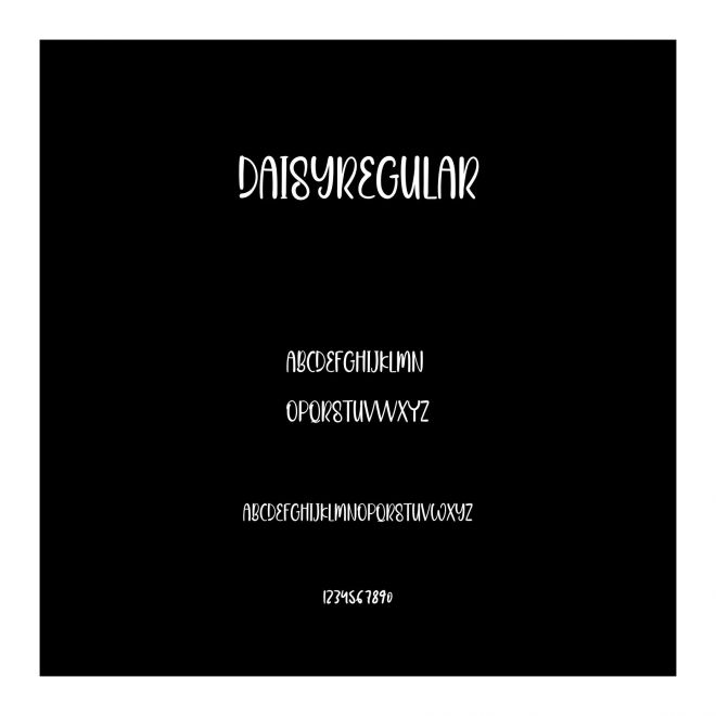 DaisyRegular
