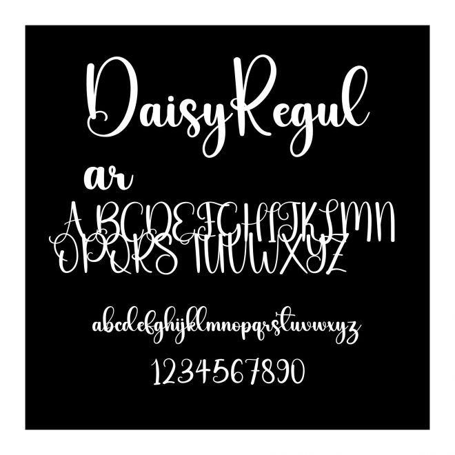 DaisyRegular