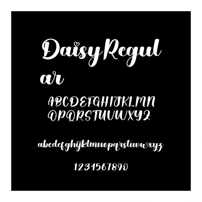 DaisyRegular