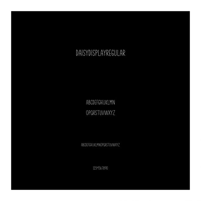 DaisyDisplayRegular