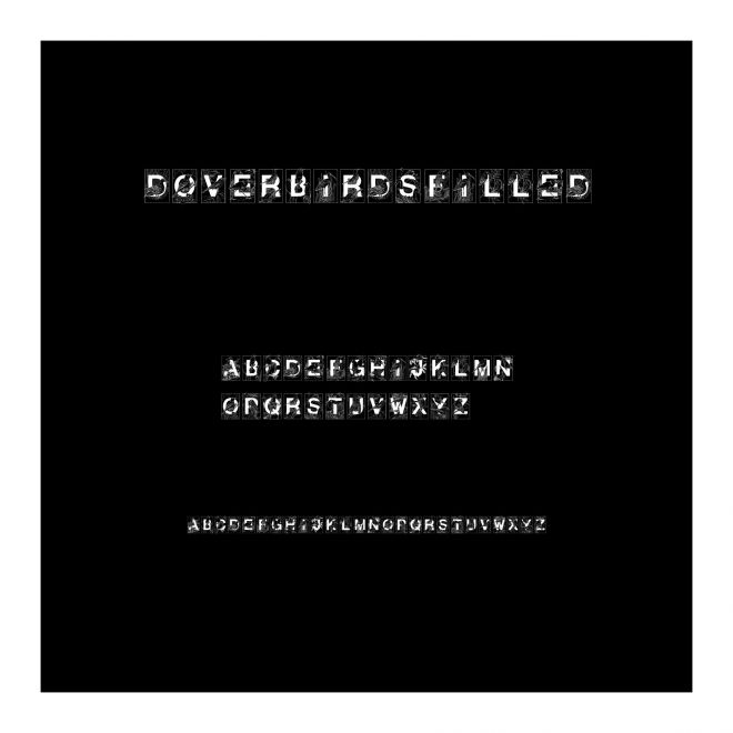 DoverBirdsFilled
