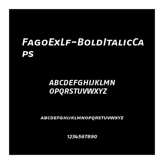 FagoExLf-BoldItalicCaps
