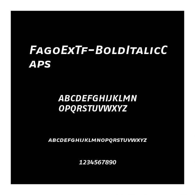 FagoExTf-BoldItalicCaps