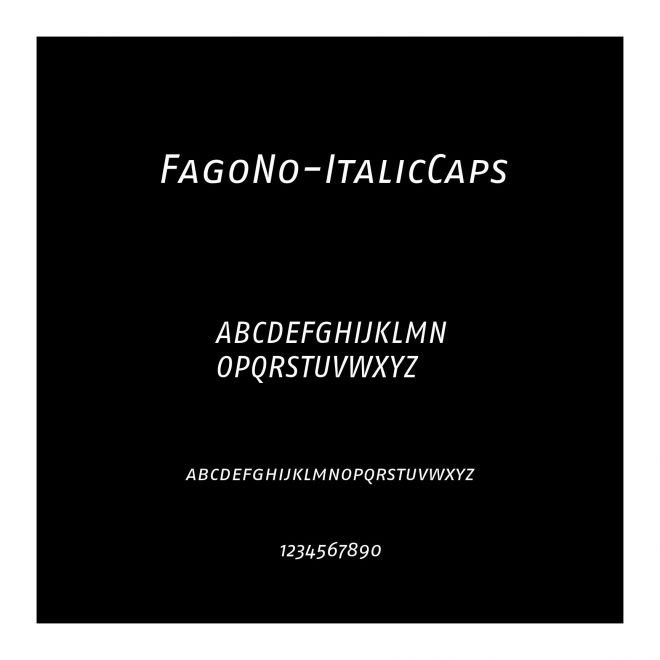 FagoNo-ItalicCaps