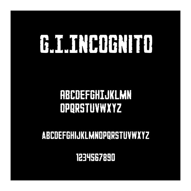 G.I.Incognito
