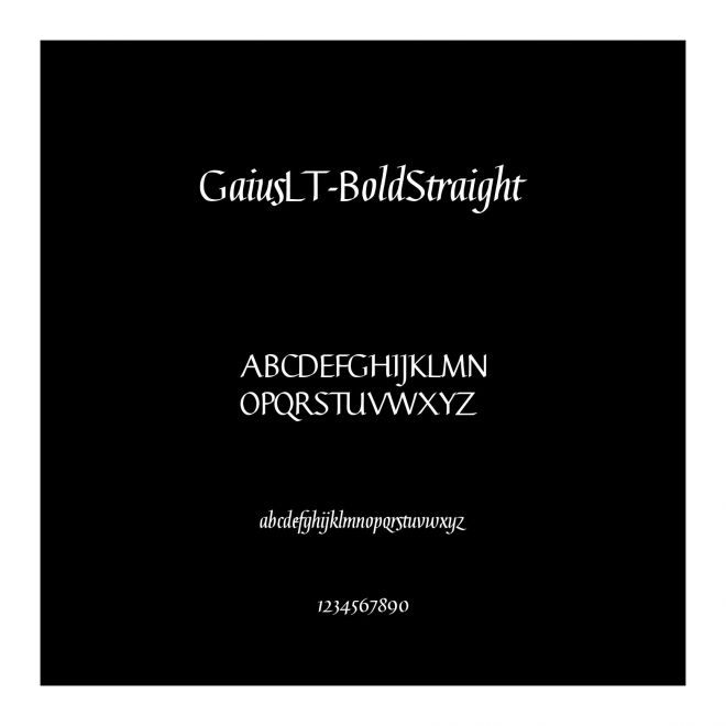 GaiusLT-BoldStraight
