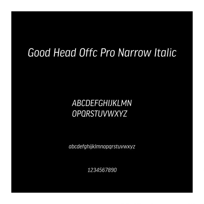 Good Head Offc Pro Narrow Italic