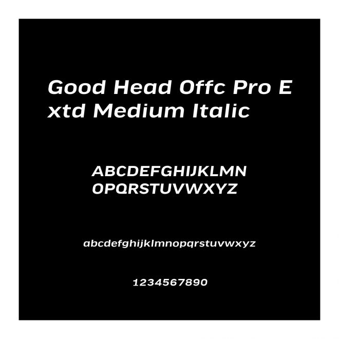 Good Head Offc Pro Extd Medium Italic